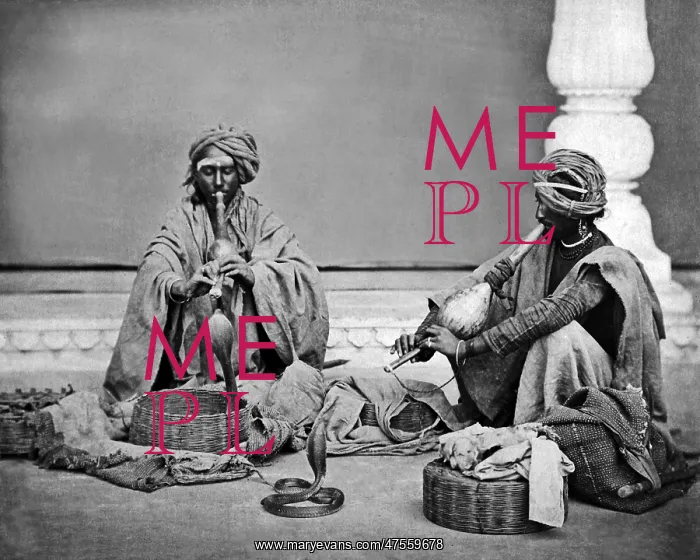: Two snake charmers, India : Two snake charmers, India