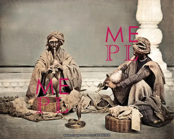 : Two snake charmers, India : Two snake charmers, India