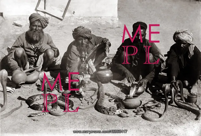  : Snake charmers, India, circa 1890