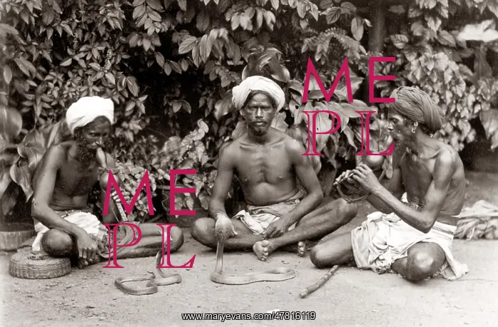  : Snake charmers, musical instruments, India, c.1880's