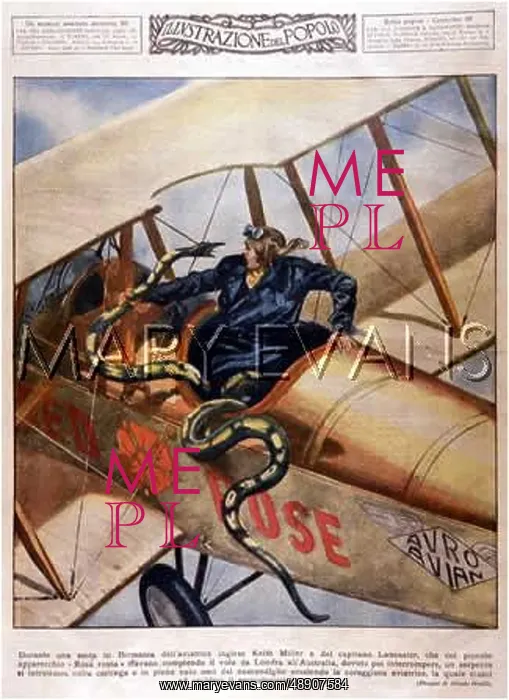  : SNAKE IN THE COCKPIT