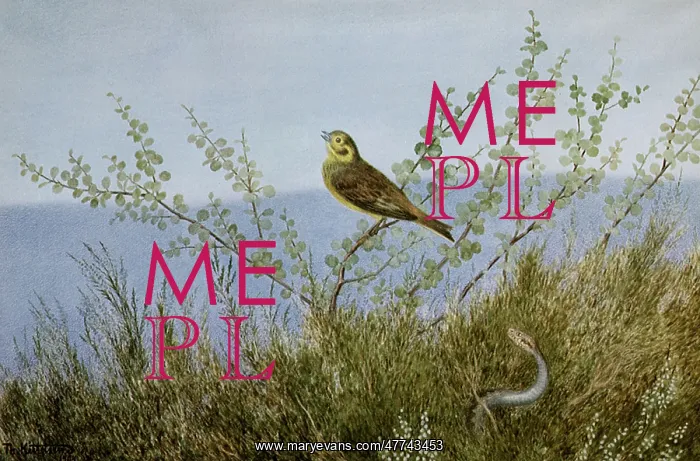  : Snake in the Grass