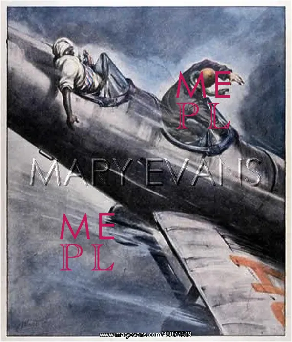 : SNAKE IN PLANE : SNAKE IN PLANE