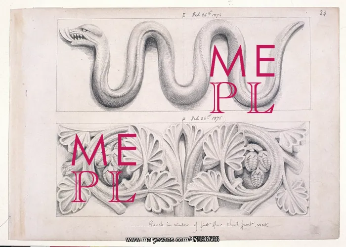 : Snake and plant design : Snake and plant design