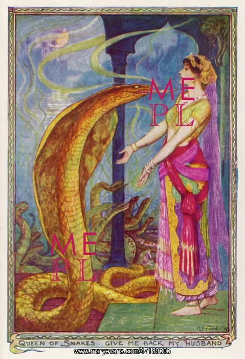 : THE SNAKE PRINCE / QUEEN : THE SNAKE PRINCE / QUEEN