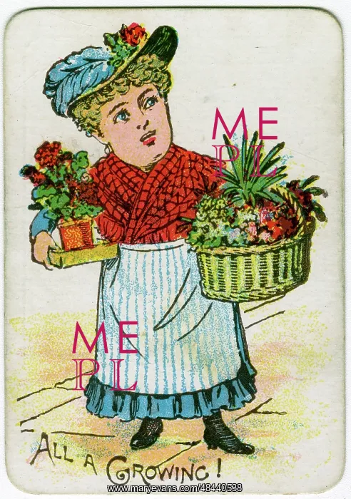 : Snap Playing Card - All a Growing : Snap Playing Card - All a Growing