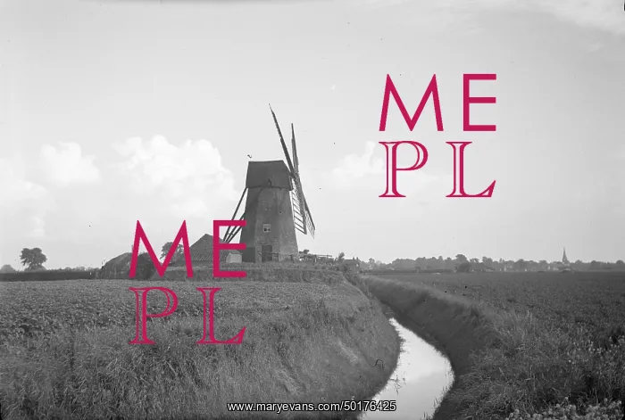 : Sneath's Mill, Lutton Gowts, Lutton, South Holland, Lincs : Sneath's Mill, Lutton Gowts, Lutton, South Holland, Lincs