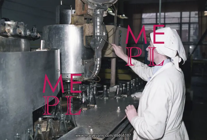: Snezhet distillery in Bryansk : Snezhet distillery in Bryansk