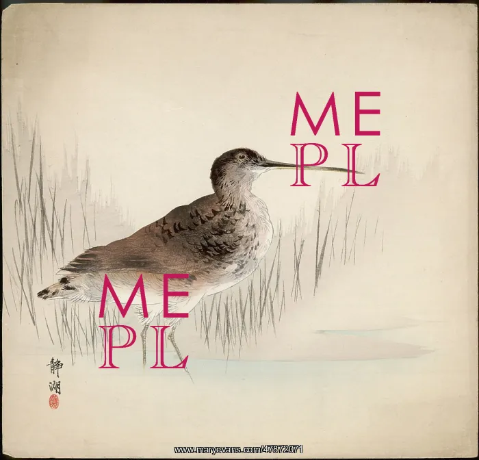 : Snipe - Japanese print : Snipe - Japanese print