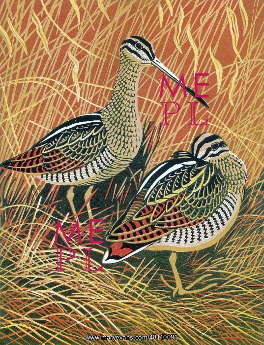 : Snipe by Robert Gillmor : Snipe by Robert Gillmor