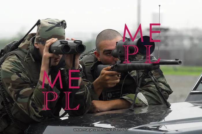 : A sniper team search for opposing forces ? : A sniper team search for opposing forces ?