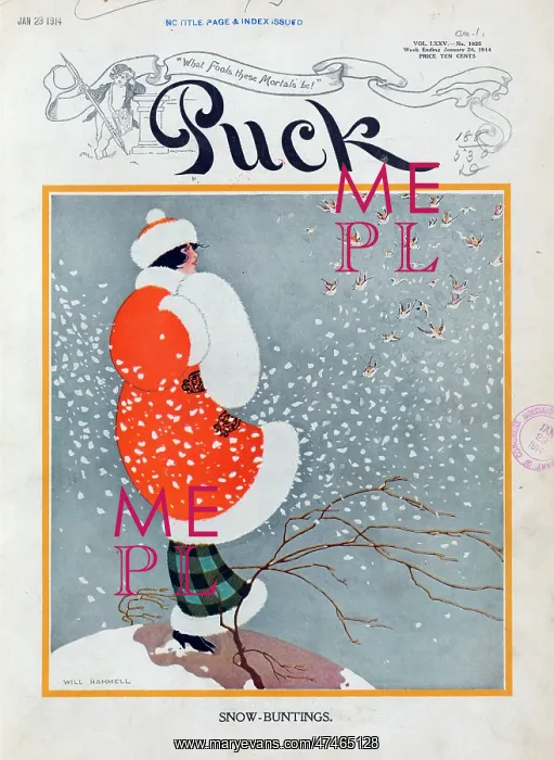 : Snow-buntings : Snow-buntings