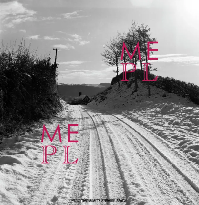 : A snow-covered country lane : A snow-covered country lane