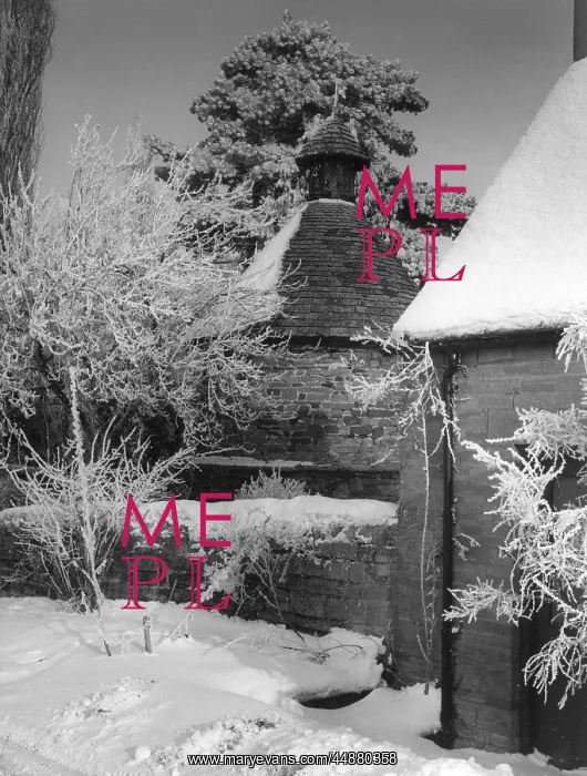 : SNOW-COVERED DOVECOTE : SNOW-COVERED DOVECOTE