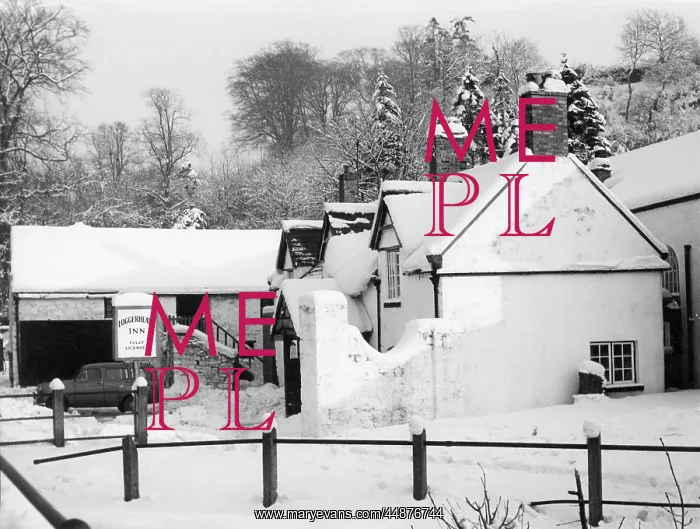 : SNOW COVERED INN : SNOW COVERED INN