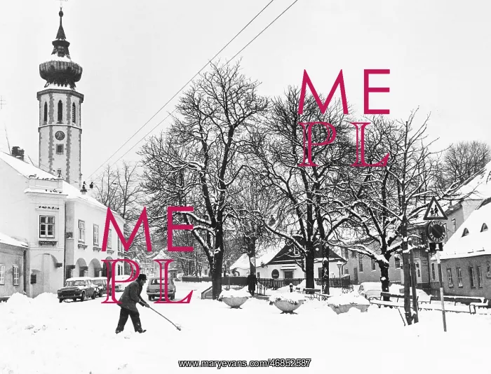 : Snow in Grinzing : Snow in Grinzing