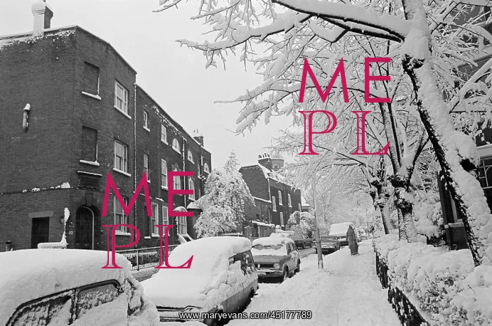 : Snow in Highgate : Snow in Highgate