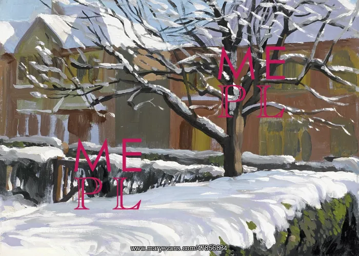 : Snow in a Mill Hill garden : Snow in a Mill Hill garden