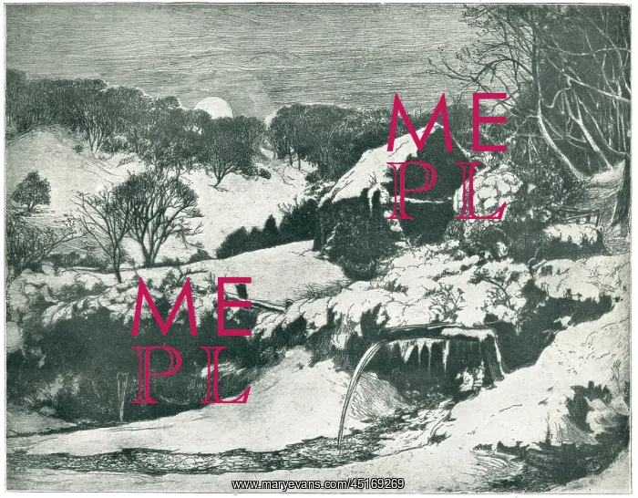 : Snow At Rievaulx : Snow At Rievaulx