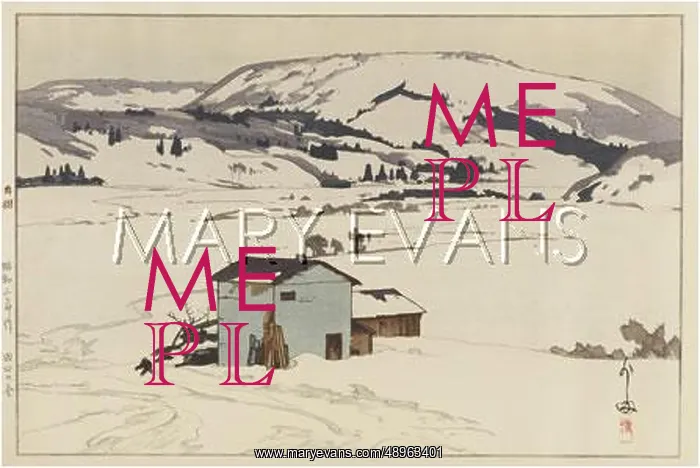 : Snow scene : Snow scene