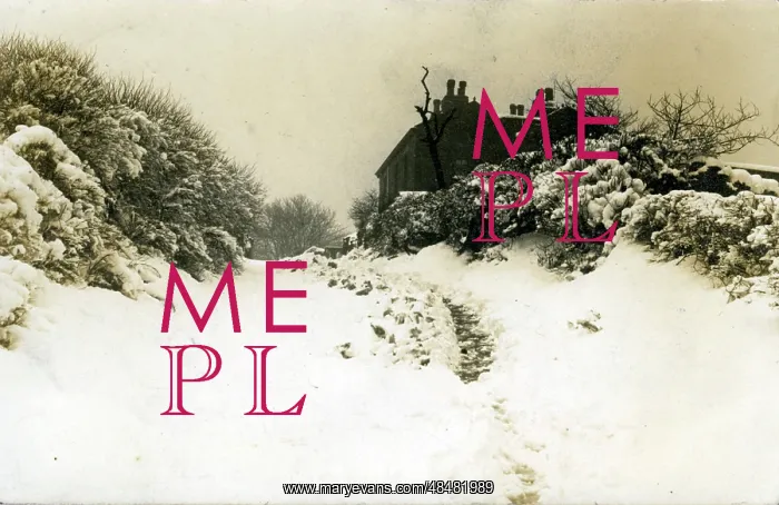 : Snow Scene, Batley, Yorkshire : Snow Scene, Batley, Yorkshire