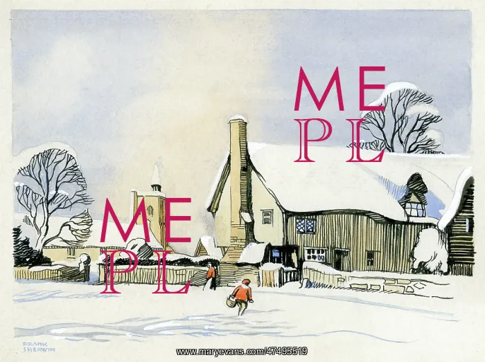  : Snow scene with cottage