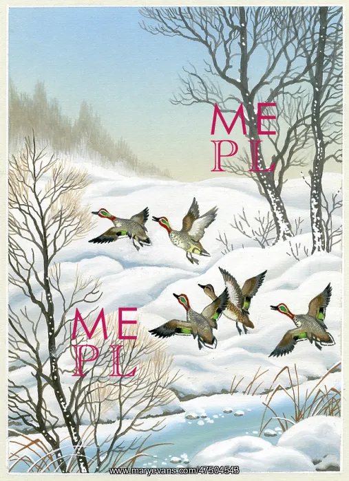 : Snow scene with ducks flying off : Snow scene with ducks flying off