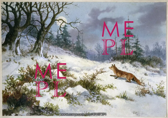 : Snow scene with fox on hillside : Snow scene with fox on hillside