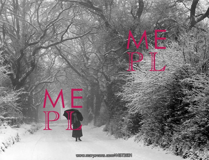 : Snow Scene - Pangbourne : Snow Scene - Pangbourne