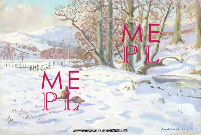  : Snow scene with pheasants
