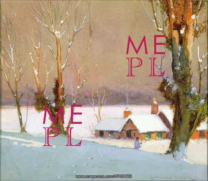 : Snow Scene with trees in the foreground : Snow Scene with trees in the foreground