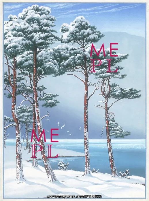 : Snow scene with trees and lake : Snow scene with trees and lake