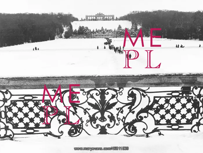 : Snow in Schonbrunn Palace Park : Snow in Schonbrunn Palace Park