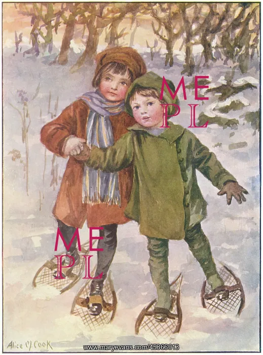  : Snow shoes