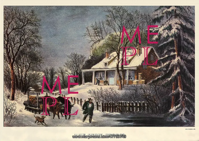  : The Snow Storm