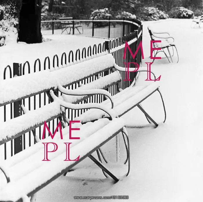 : Snow in Winter : Snow in Winter