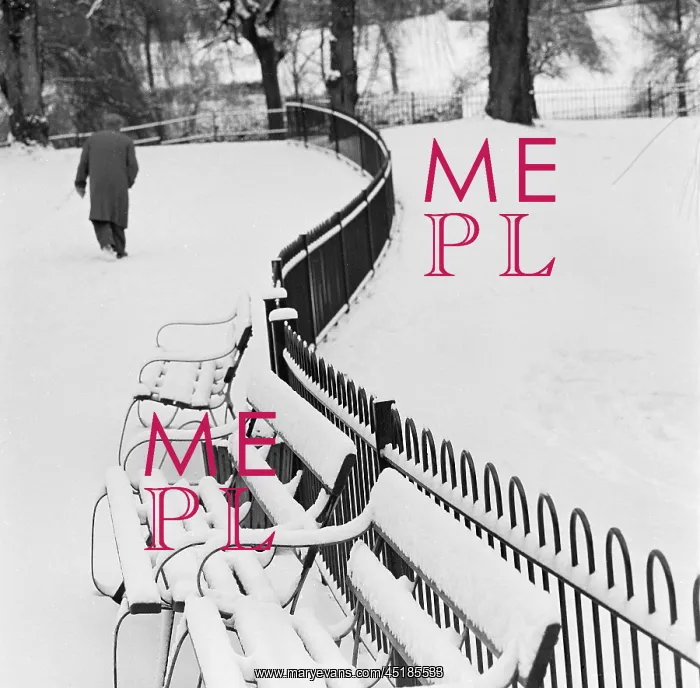 : Snow in Winter : Snow in Winter