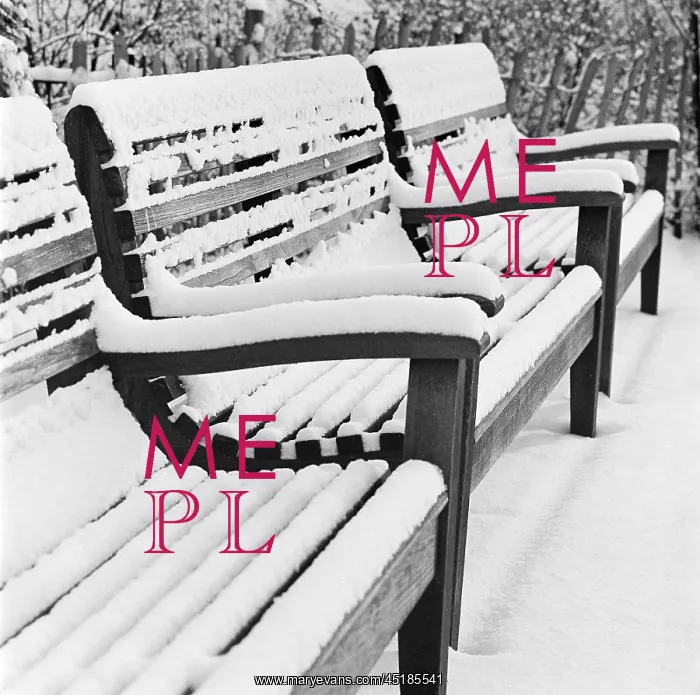 : Snow in Winter : Snow in Winter