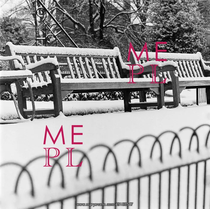 : Snow in Winter : Snow in Winter