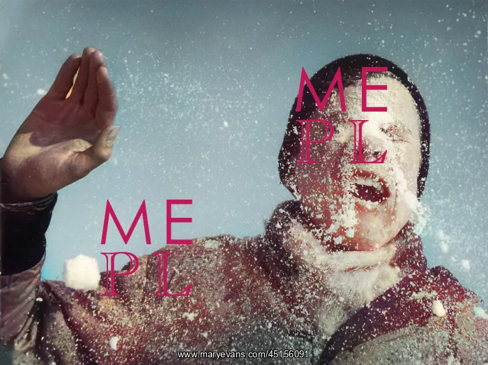 : SNOWBALL IN FACE : SNOWBALL IN FACE
