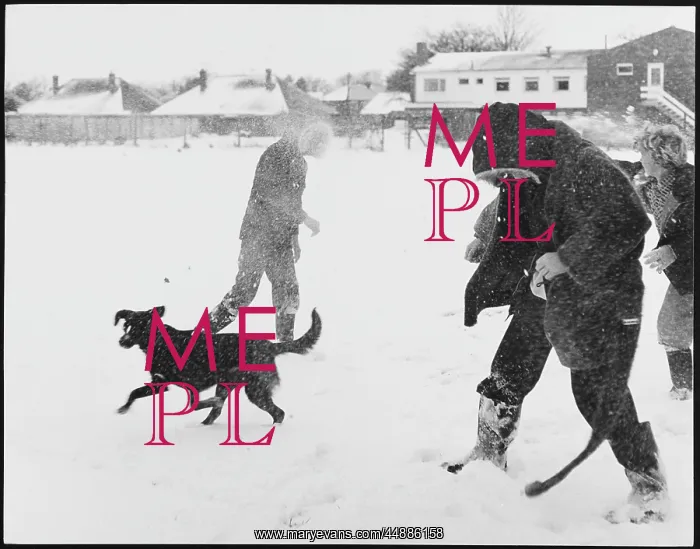 : SNOWBALL FIGHT : SNOWBALL FIGHT