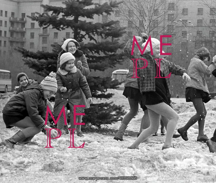 : Snowball playing, 1977 : Snowball playing, 1977