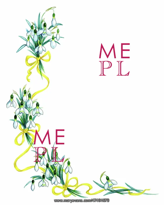 : Snowdrops and gold ribbon : Snowdrops and gold ribbon