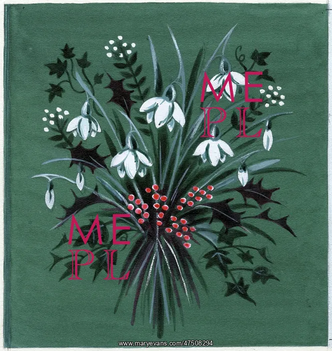  : Snowdrops, holly and ivy