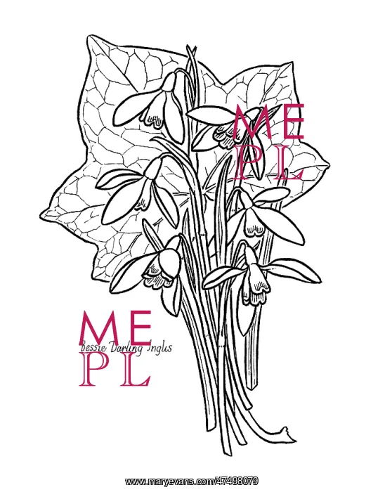  : Snowdrops and Ivy Leaf