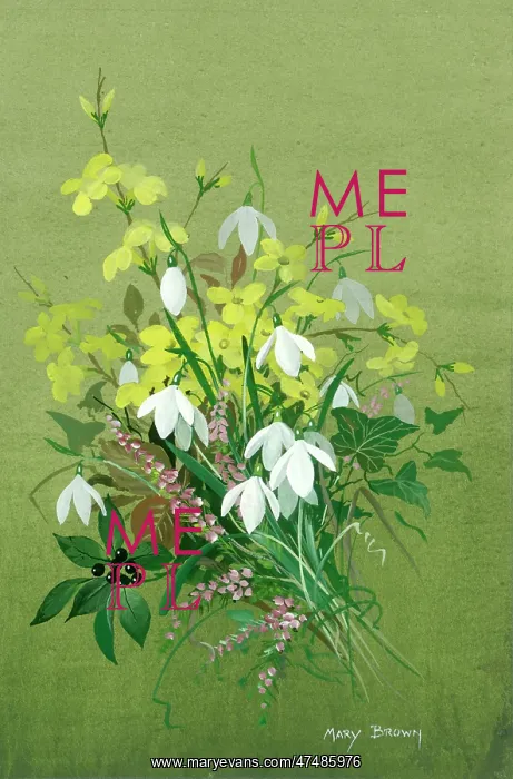  : Snowdrops, jessamine, heather, ivy