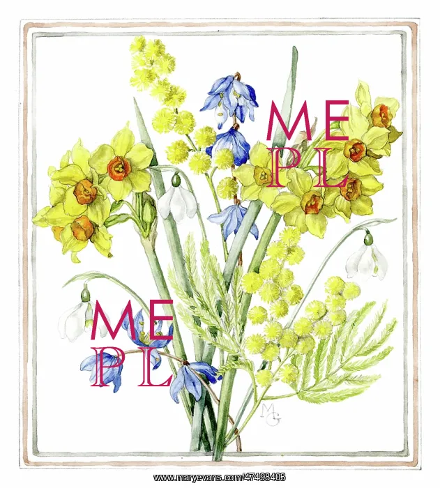  : Snowdrops, Jonquils, Mimosa and Squills