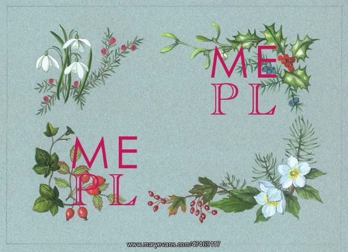 : Snowdrops, Juniper, Hips and Haws etc : Snowdrops, Juniper, Hips and Haws etc