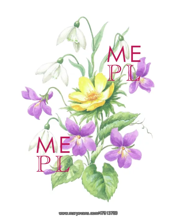  : Snowdrops, winter aconite and violets