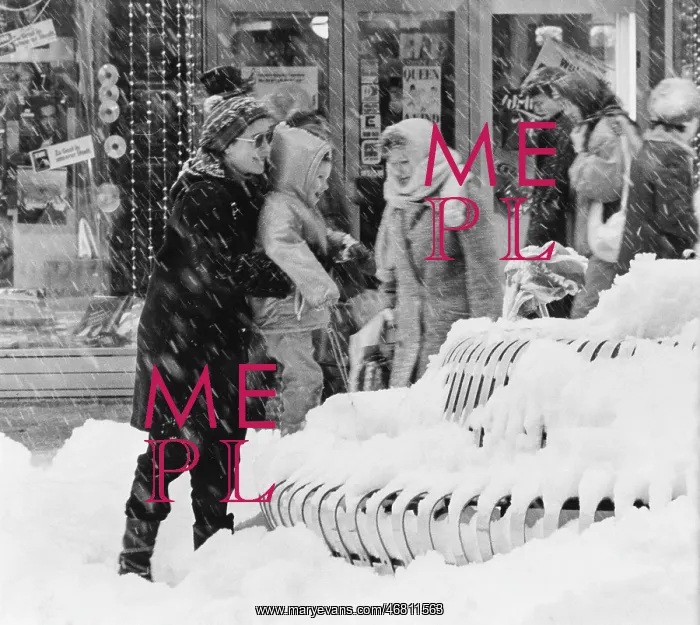 : Snowfall in Vienna 1986 : Snowfall in Vienna 1986
